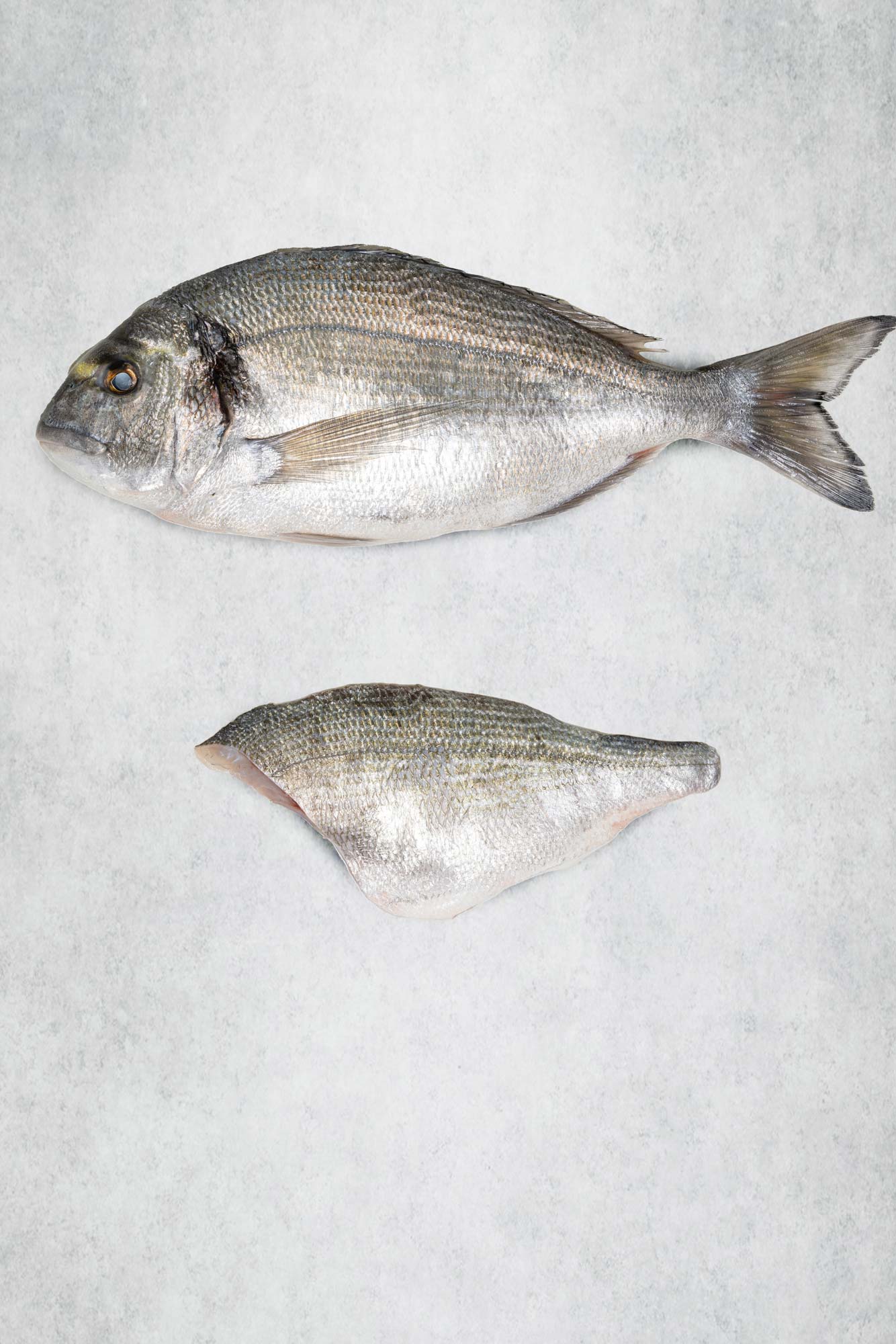 Gilt Sea Bream Fillet