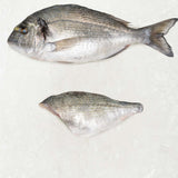 Gilt head Bream fillet from Rockfish