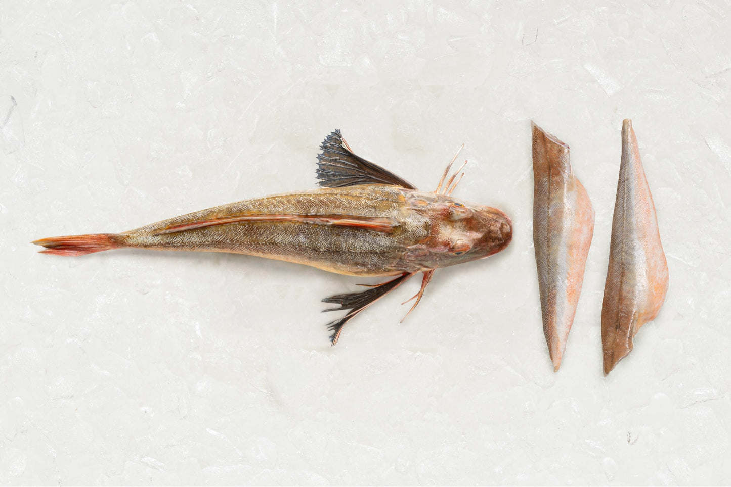 2 Gurnard fillets - Rockfish seafood at home the online fishmonger portion - mobile