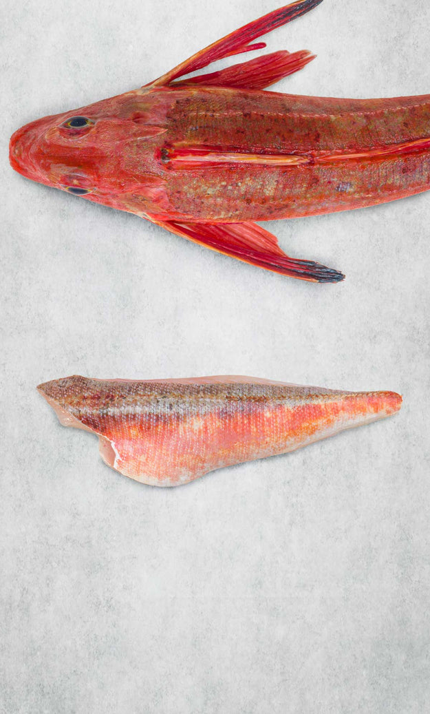 Rockfish Gurnard 1 fillet portion fro Rockfish