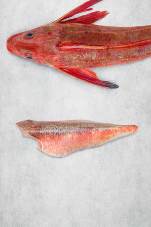 Rockfish Gurnard 1 fillet portion fro Rockfish