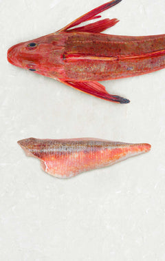 Gurnard fillet portion by Rockfish - Frozen at the quayside