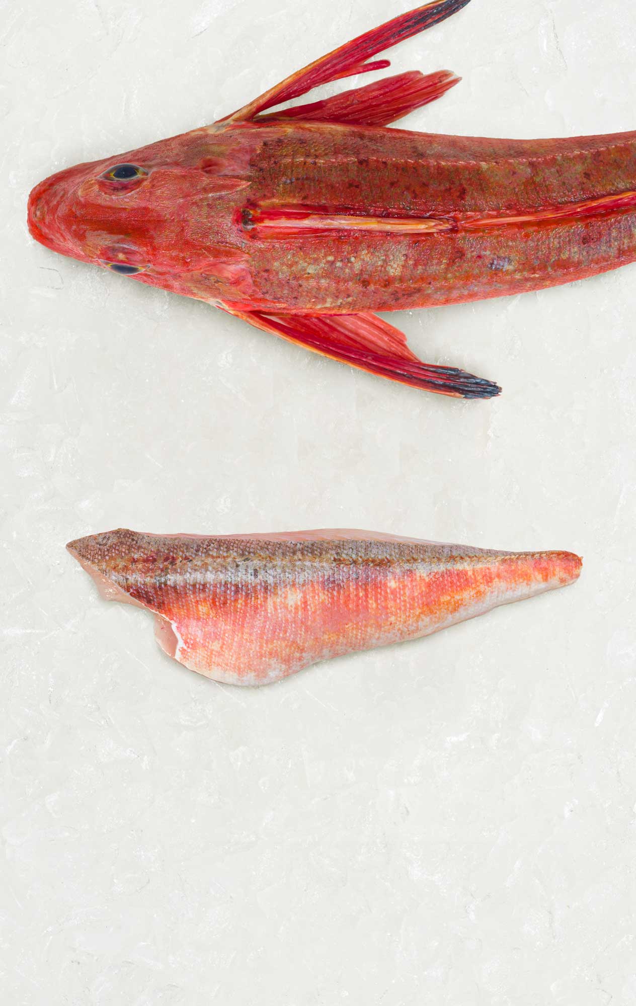 Gurnard fillet portion by Rockfish - Frozen at the quayside