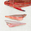 Gurnard 2 fillet portion frozen at the quayside