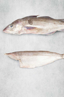 Haddock Fillet - MSC