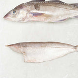 MSC Haddock fillet- Rockfish seafood at home the online fishmonger portion