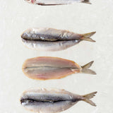 Butterflied Herring - Frozen