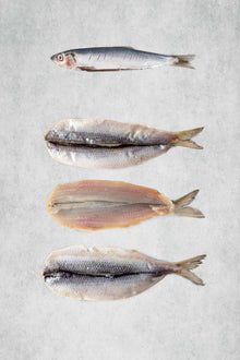 Butterflied Herring - Frozen