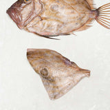 John Dory fillet on ice