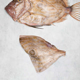 John Dory Fillet