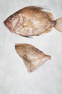 John Dory Fillet