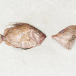 Frozen John Dory fillet - Rockfish seafood at home the online fishmonger portion - mobile