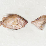 Frozen John Dory fillet - Rockfish seafood at home the online fishmonger portion - mobile
