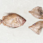 Frozen 2 John Dory fillets - Rockfish seafood at home the online fishmonger portion - mobile