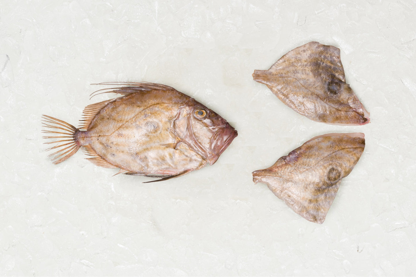 Frozen 2 John Dory fillets - Rockfish seafood at home the online fishmonger portion - mobile