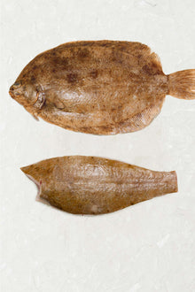 Lemon Sole portion - frill and tail removed