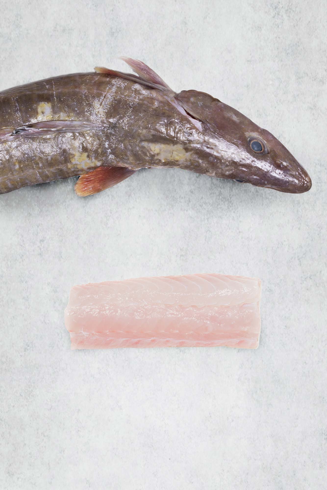 Ling Fillet