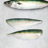 Fresh Mackerel fillets