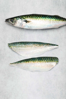 Fresh Mackerel fillets