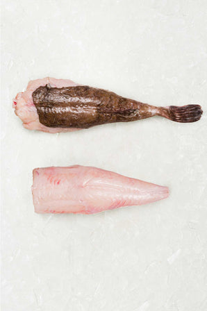 Monkfish Whole Tail - Frozen