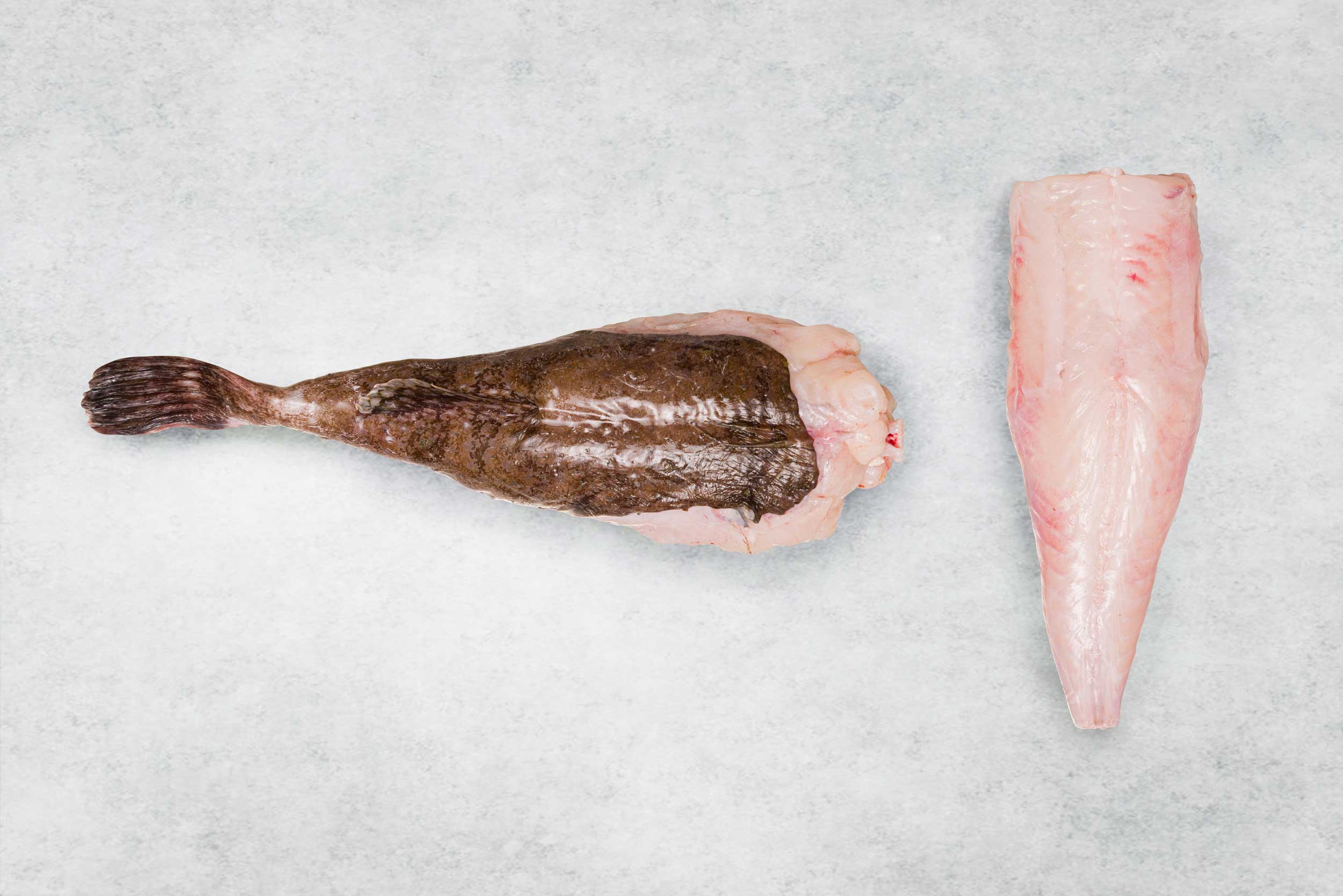 Monkfish Whole Tail - Frozen – Rockfish