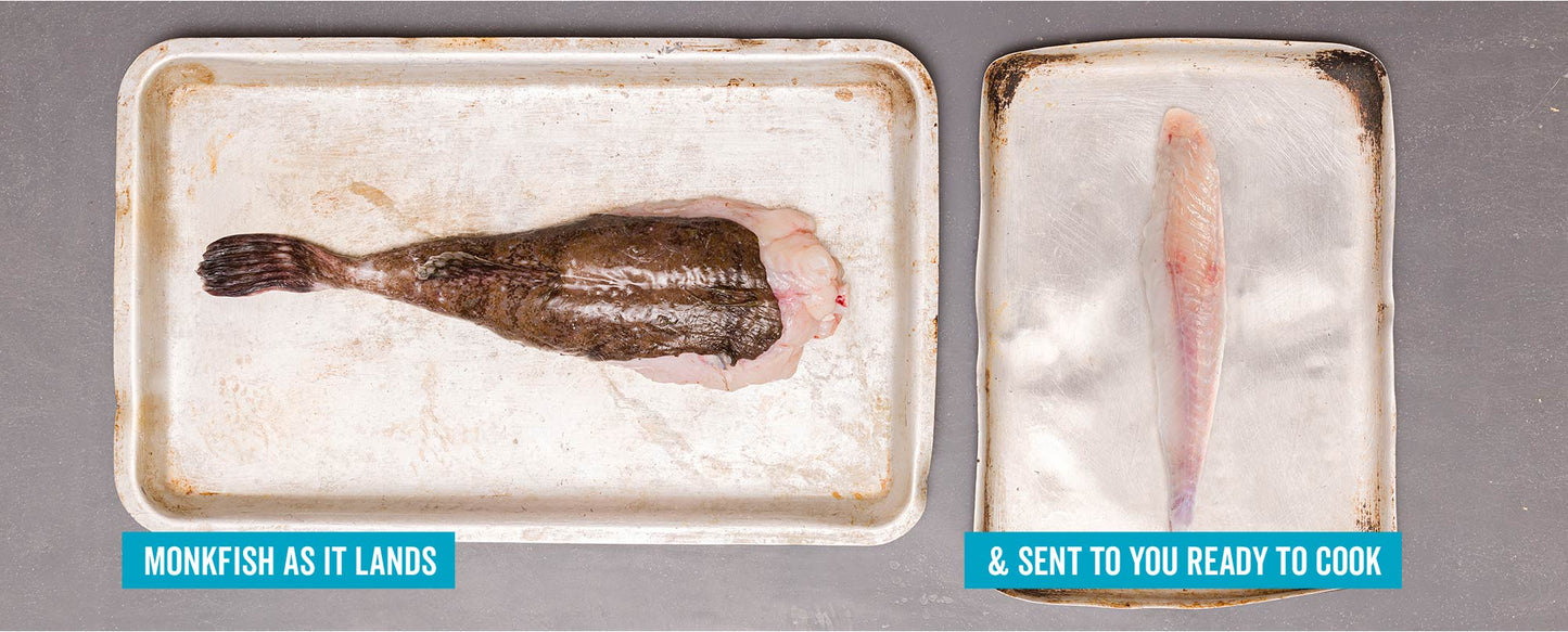 #slide:Fresh British Monkfish