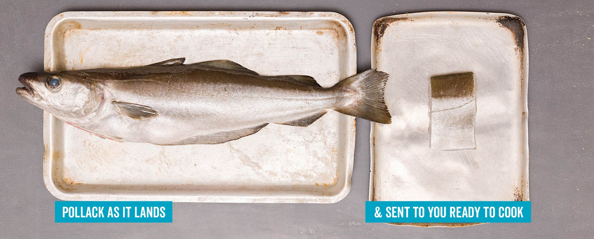 Pollaj Fish Pollack Fillet - Frozen – Rockfish