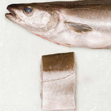 Frozen British Pollack Fillet