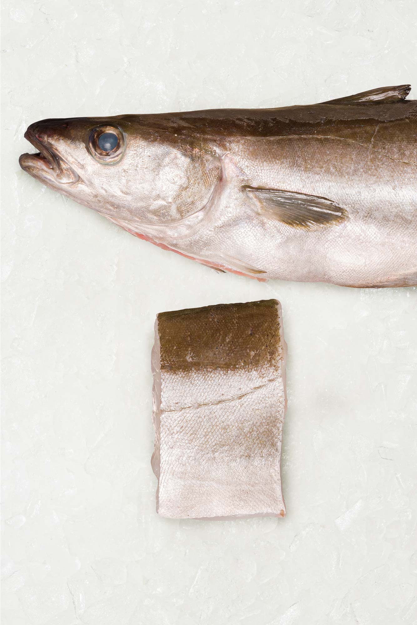 Pollaj Fish Pollack Fillet - Frozen – Rockfish