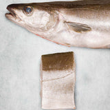 Pollack fillet - Fresh British fish
