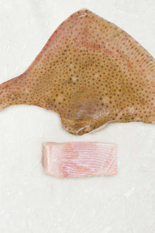 Frozen Ray T-bone 