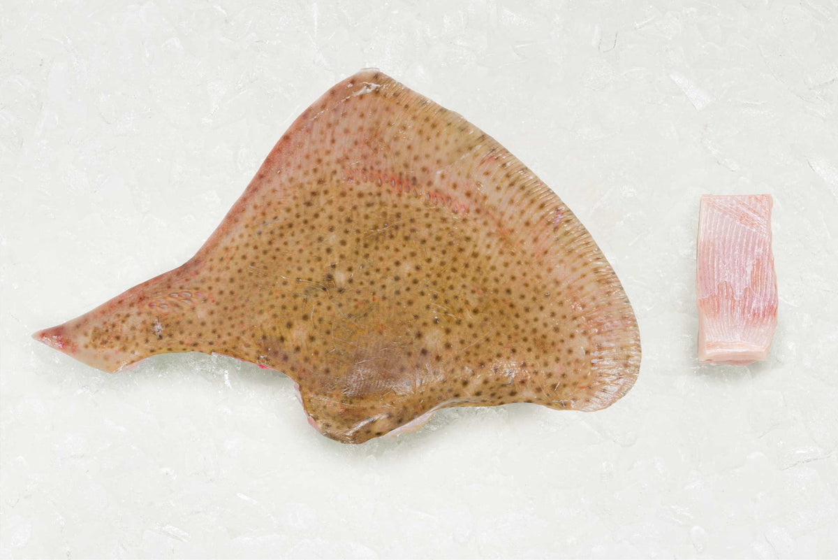 Ray TBone Frozen Rockfish