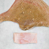 Ray T-bone