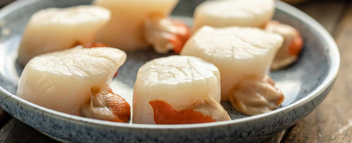Scallop Shell Master Disco Scallops - sustainable shellfish delivered next day – Rockfish