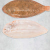 Rockfish Sand Sole portion with skin removed