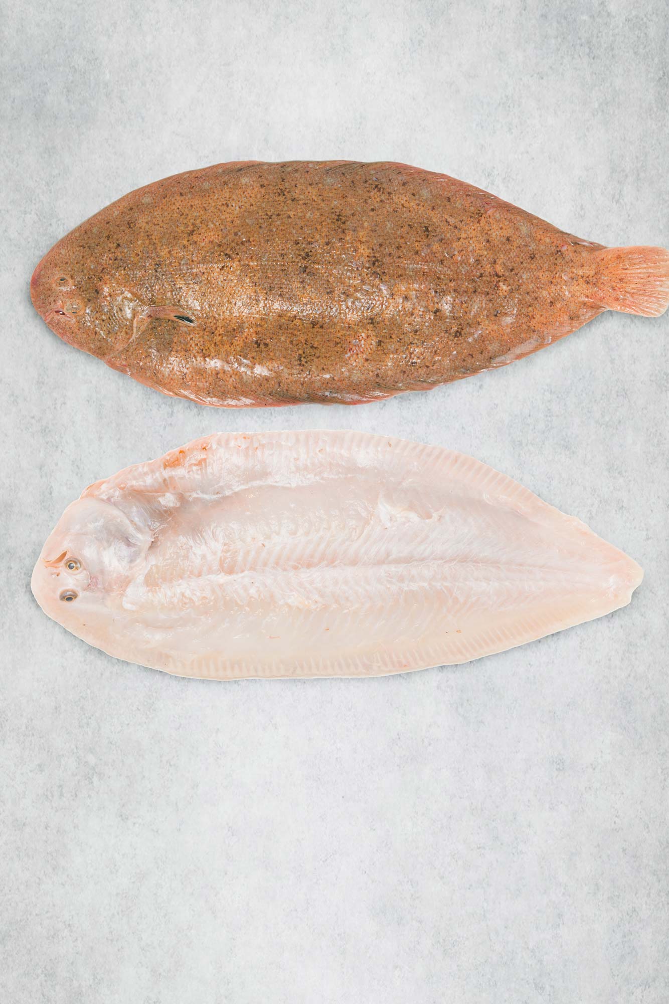 Rockfish Sand Sole portion with skin removed