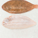 Frozen Sand Sole with skin and tail removed