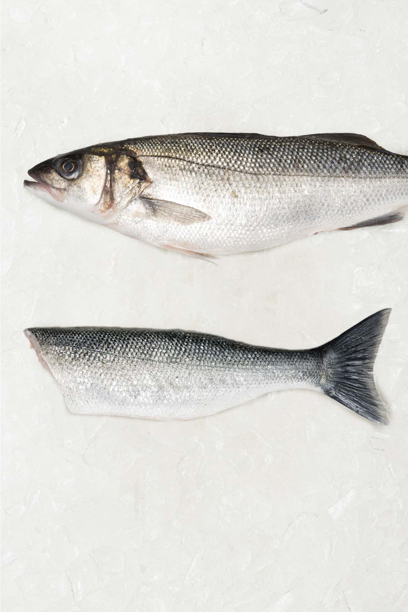 Frozen Whole British Sea Bass