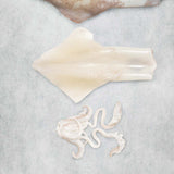 Fresh squid portion from Rockfish