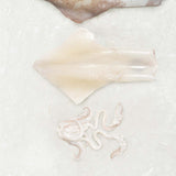 Frozen squid portion from Rockfish