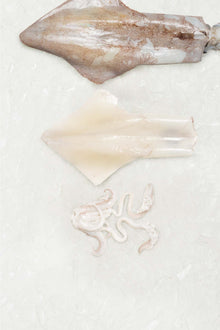 Frozen squid portion from Rockfish