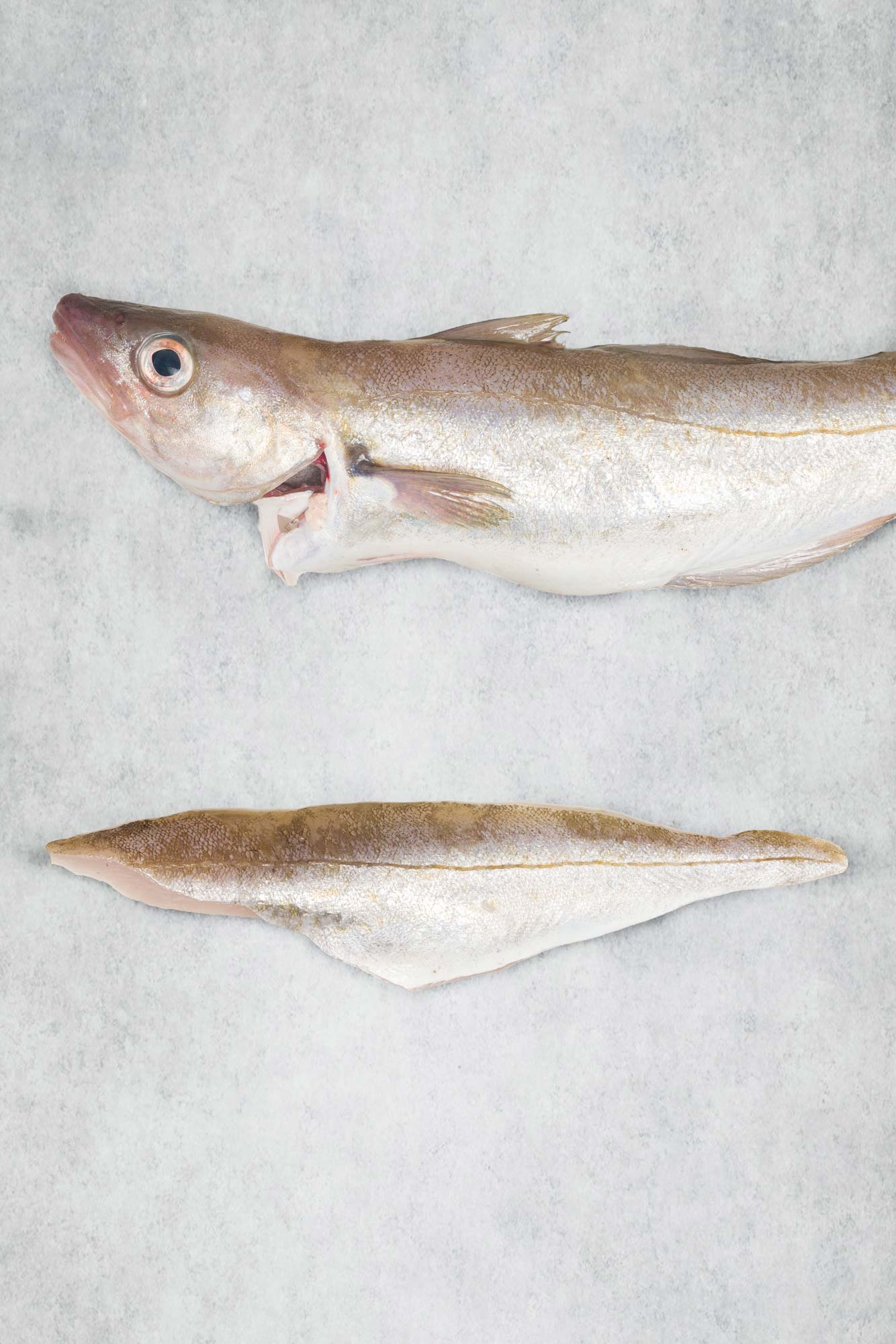 Fresh British Whiting fillet from Rockfish