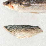 Frozen Silver Mullet fillet
