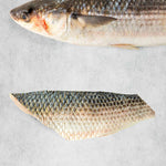 Fresh Silver Mullet fillet