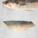 Fresh Silver Mullet fillet